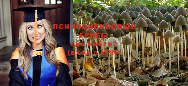 гидропоника Алзамай