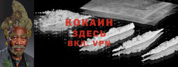PSILOCYBIN Алексеевка