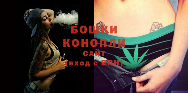 PSILOCYBIN Алексеевка