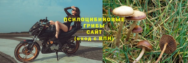 спайс Алексин