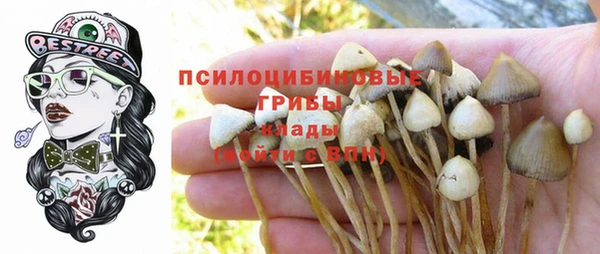 спайс Алексин