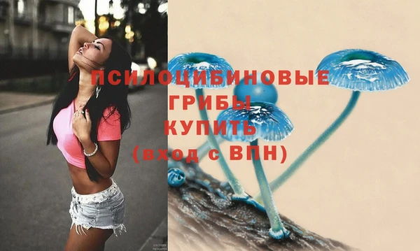 спайс Алексин