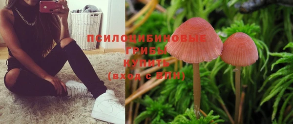 спайс Алексин