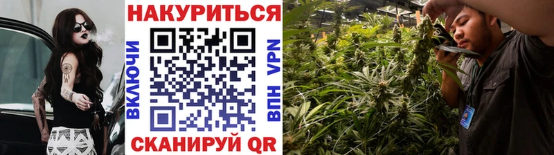 Бошки Шишки THC 21%  Старая Русса 